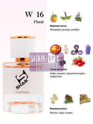  Shaik  Shaik W16 (Burberry Weekend), 25 ml (,  2)