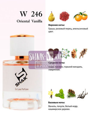  Shaik Shaik W246 (Yves Saint Laurent Black Opium), 50 ml NEW (,  1)