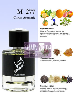  Shaik  SHAIK /    277 Chanel Allure homme Sport Cologne, 25 . (,  2)
