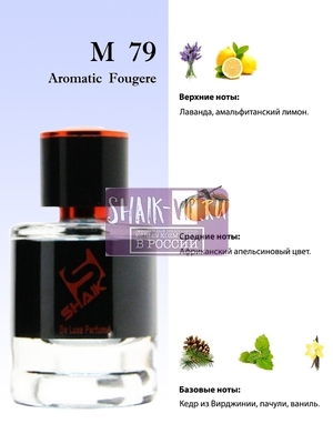  Shaik  SHAIK /    79 Versace Versace Pour Homme, 25 . (,  1)