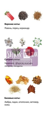  Shaik  SHAIK /    256 Amouage Honour Woman, 25 . (,  2)
