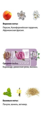  Shaik  SHAIK /   232 Gucci Rush 25  (,  2)