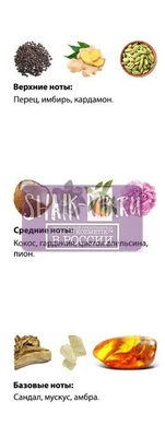  Shaik  SHAIK /    224 Versace Crystal Noir, 25 . (,  2)