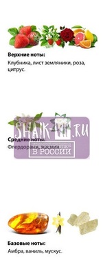  Shaik  SHAIK /    210 Montale Rose Elixir 25  (,  2)