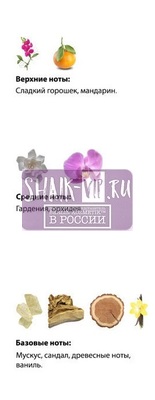  Shaik  SHAIK /    168 Nina Ricci Premier Jour, 25 . (,  2)