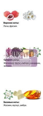  Shaik  SHAIK /    124 Lancome Miracle, 25 . (,  2)
