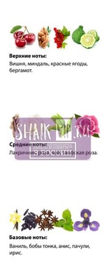  Shaik  SHAIK /    114 Guerlain "La Petite Robe Noire", 25 . (,  2)