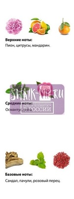  Shaik  SHAIK /    104 Gucci Flora by Gucci fresh, 25 . (,  2)