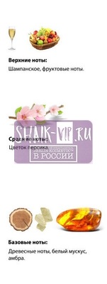  Shaik  SHAIK /    28 Carolina Herrera 212 VIP Rose 25  (,  2)