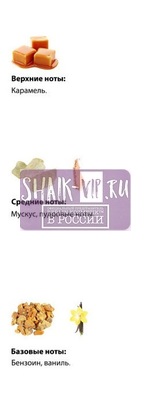  Shaik  SHAIK /    02 Prada "Candy", 25 . (,  2)