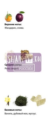  Shaik  SHAIK /    443 Aj Arabia No 2., 25 . (,  2)
