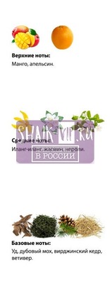  Shaik  SHAIK /    413 Mango Manga Montale 25  (,  2)
