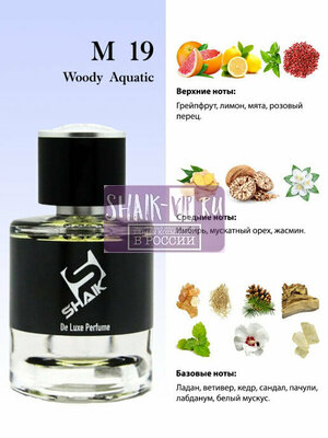  Shaik Shaik M19 (Chanel Bleu de Chanel), 100 ml NEW (,  1)