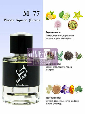  Shaik Shaik M77 (Versace Man Eau Fraiche), 100 ml NEW (,  1)