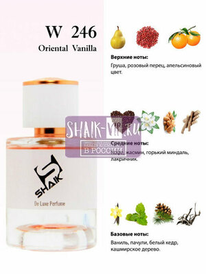  Shaik Shaik W246 (Yves Saint Laurent Black Opium), 100 ml NEW (,  1)