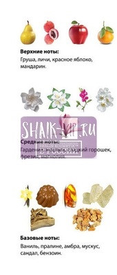  Shaik Shaik W304 (Sexy Little Things Noir Tease Victoria's Secret), 100 ml NEW (,  1)