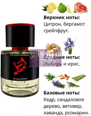  Shaik  SHAIK /    277 Chanel Allure homme Sport Cologne, 25 . (,  1)