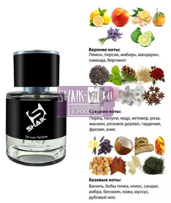  Shaik  SHAIK /    275 Chanel Allure Homme, 25 . (,  1)