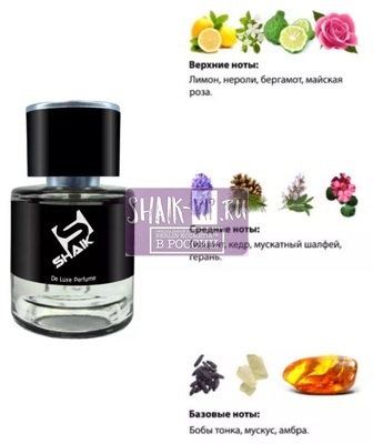  Shaik  SHAIK /    79 Versace Versace Pour Homme, 25 . (,  1)