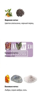  Shaik Shaik  M11 (Paco Rabanne Invictus Intense), 25 . (,  2)