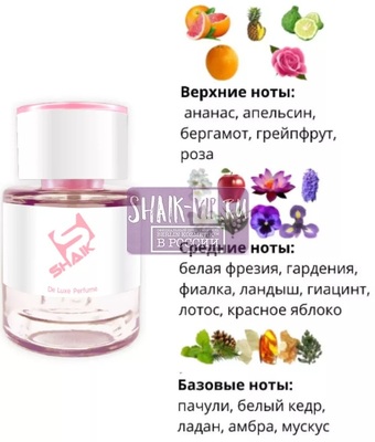  Shaik  SHAIK /   290 Zen Shiseido, 25 . (,  1)