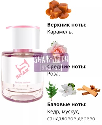 Shaik  SHAIK /    274 Lacoste Pour Femme Intense, 25 . (,  1)