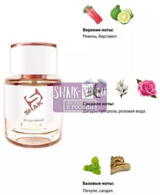  Shaik  SHAIK /    172 Nina Ricci Ricci Ricci, 25 . (,  1)