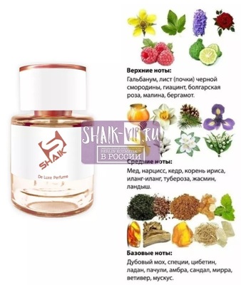  Shaik  SHAIK /    132 Lancome Magie Noire 25 . (,  1)