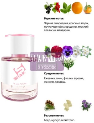  Shaik  SHAIK /    120 Gucci Eau de Parfum II, 25 . (,  1)