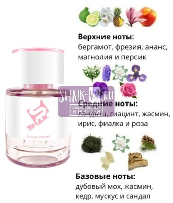  Shaik  SHAIK /   108 Envy Gucci 25  (,  1)