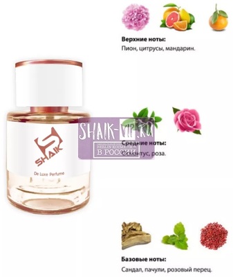  Shaik  SHAIK /    104 Gucci Flora by Gucci fresh, 25 . (,  1)