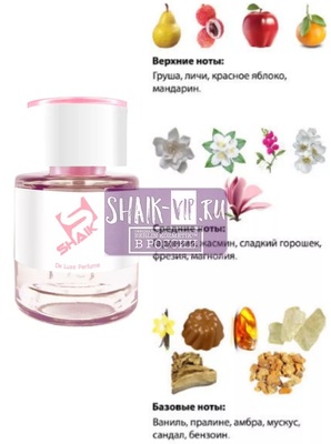  Shaik  Shaik W304 Sexy Little Things Noir Tease Victoria's Secret, 25  (,  1)