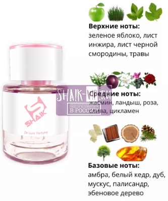  Shaik  Shaik 276 Simimi Blanc dAnna, 25 . (,  1)