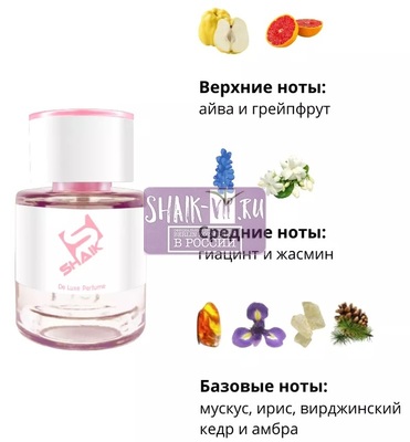  Shaik  Shaik W40 (Chanel Chance Eau Tendre), 25 ml (,  1)
