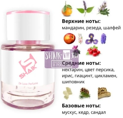  Shaik  Shaik W16 (Burberry Weekend), 25 ml (,  1)