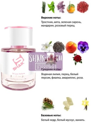  Shaik  Shaik W144 (Kenzo L'Eau Par Kenzo Pour Femme), 25 ml (,  1)