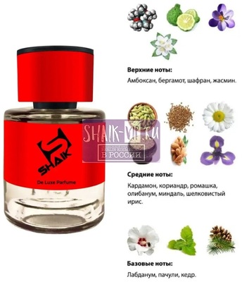  Shaik  Shaik 166 Mol Esc 02, 25 . (,  1)