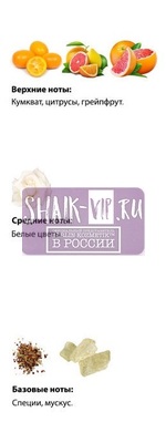  Shaik  SHAIK /    415 Montale Soleil de Capri, 25 . (,  1)