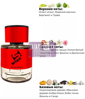  Shaik  Shaik MW205 (Tiziana Terenzi Andromeda), 25 ml (,  1)