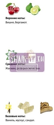  Shaik SHAIK /    421 Montale Intense Cherry 20 . (,  2)