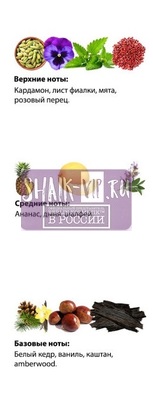  Shaik SHAIK /    267 Emporio Armani Stronger With You 20  (,  2)