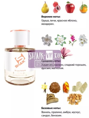  Shaik Shaik W304 (Sexy Little Things Noir Tease Victoria's Secret), 50 ml NEW (,  1)