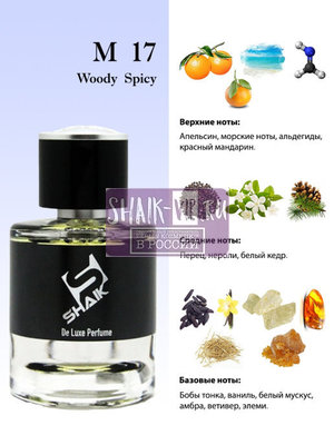  Shaik Shaik M17 (Chanel Allure Homme Sport), 50 ml NEW (,  1)