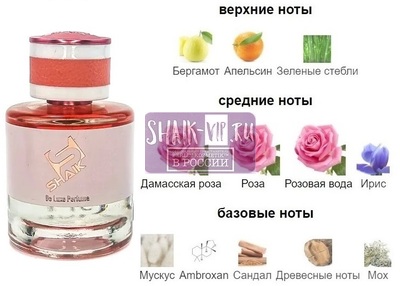  Shaik Shaik W482 ( Lancome La Vie Est Belle Rose Extraordinaire ), 50 ml NEW (,  1)