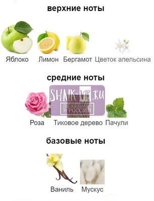 ������������� Shaik Shaik ������������� � ��������� Shaik 643 DESIRE 100 ml (����, ��� 1)