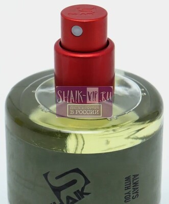 ���������� Shaik SHAIK / ����������� ���� DUBAI 1 Limited, 25 ��. (����, ��� 5)