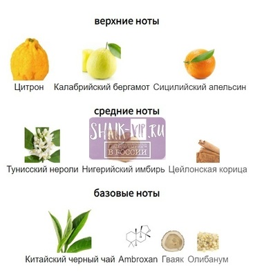 ���������� Clive&Keira Clive&Keira / ����������� ���� Louis Vuitton Imagination Limited, 30 ml (����, ��� 1)