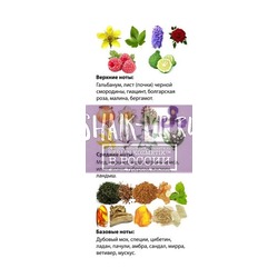  Shaik  SHAIK /    132 Lancome Magie Noire 25 ..  2