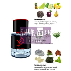  Shaik  SHAIK /   249 Rumz Al Rasasi 9325 Pour Lui Rasasi 25 .  2