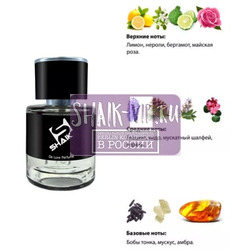  Shaik  SHAIK /    79 Versace Versace Pour Homme, 25 ..  2